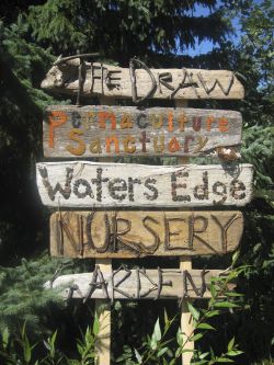 The Draw Permaculture Sanctuary - Waters Edge Nursery and Gardens